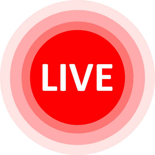 Dutch Live Cams